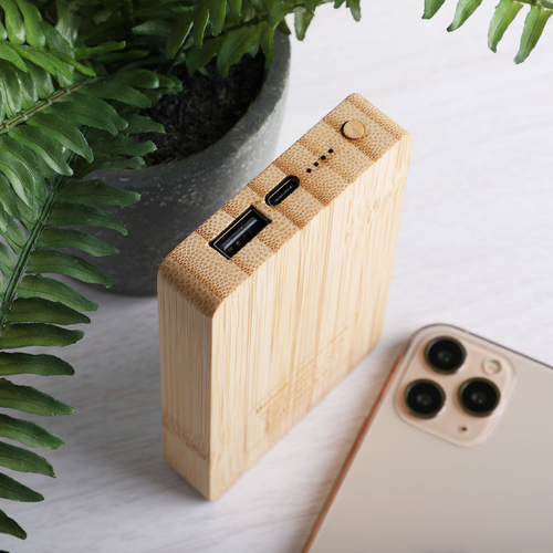 Bambank 5000mAh Power Bank (Licensed Premium)